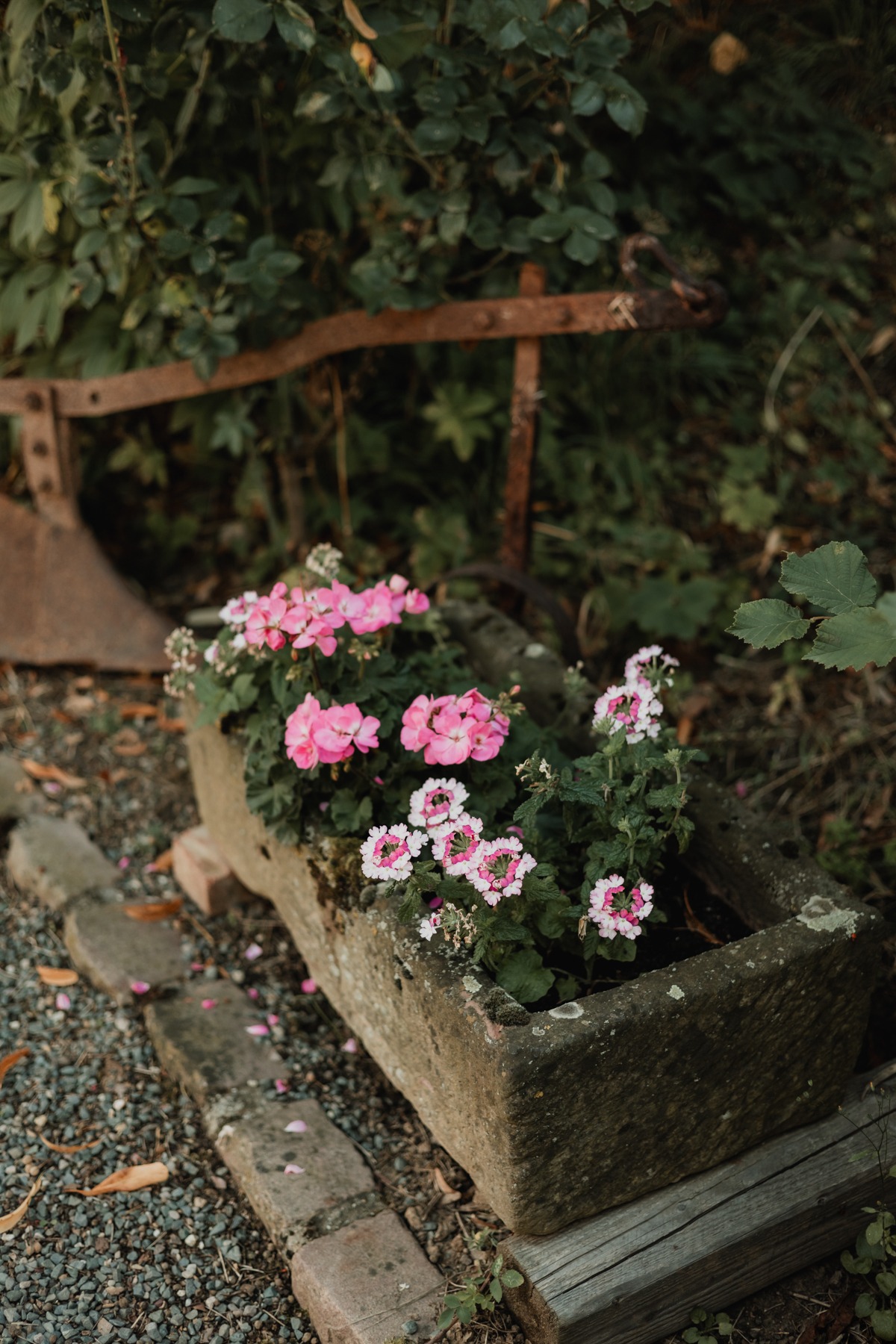 Détail fleuri du jardin en pierre du Domaine Imodis à Saessolsheim