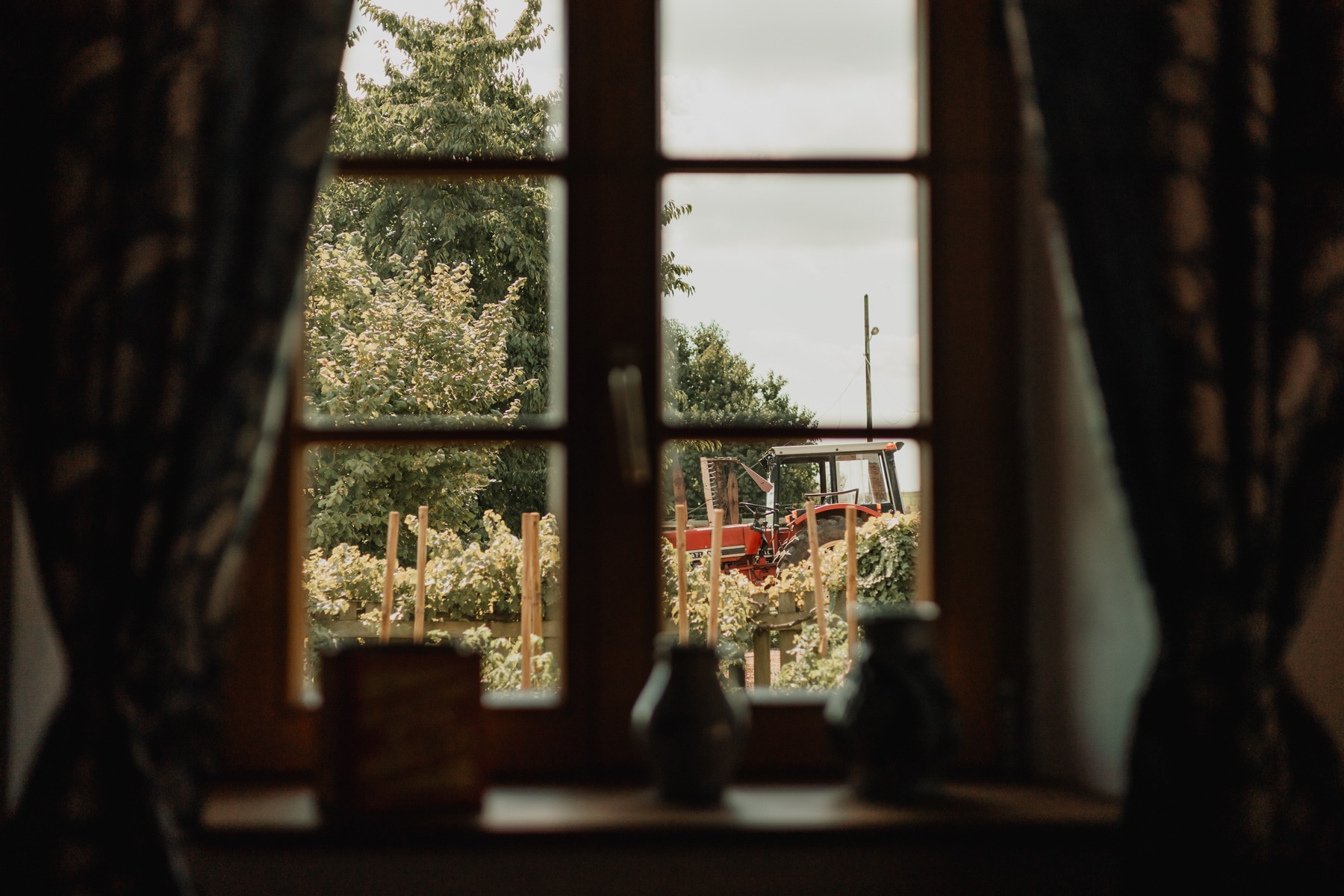 Vue depuis une fenêtre ancienne sur le jardin fleuri du Domaine Imodis à Saessolsheim
