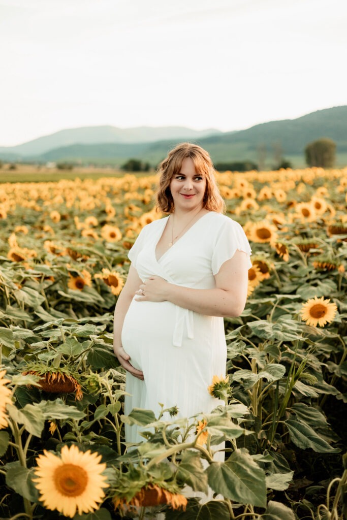 Séance photo grossesse en extérieur dans un champ de tournesols en Alsace, golden hour au Bollenberg